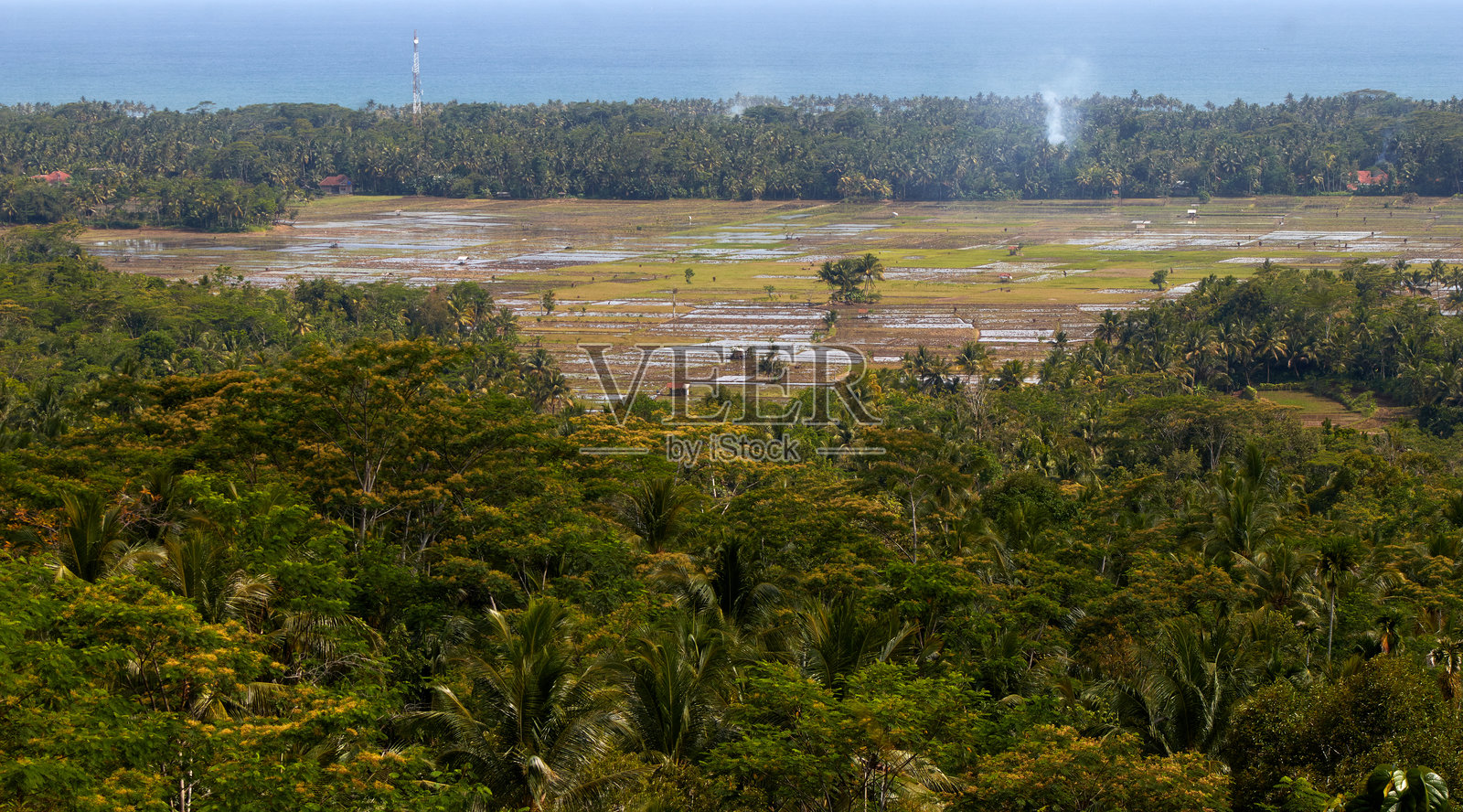 米文件视图照片摄影图片