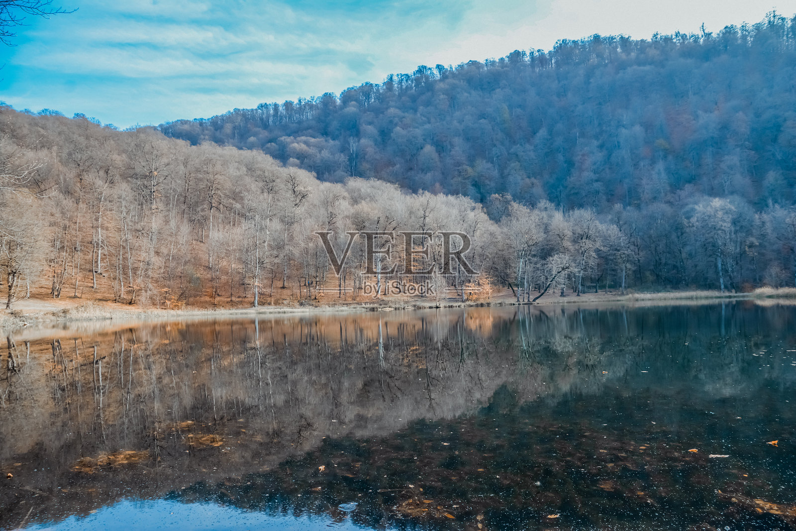 冬季森林与湖泊。秋季森林中的河流。森林中的湖泊。自然风景印刷套件，墙面艺术。照片摄影图片