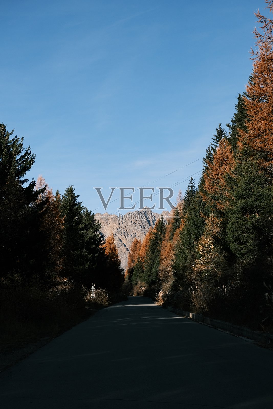 树木间的山景照片摄影图片