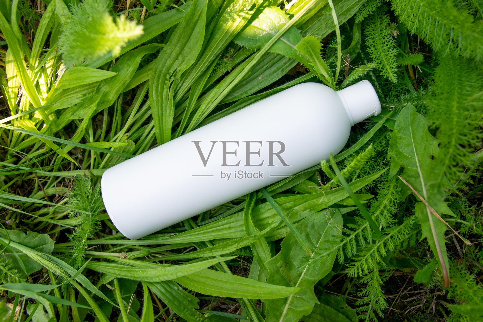 自然背景下的白色塑料瓶。照片摄影图片