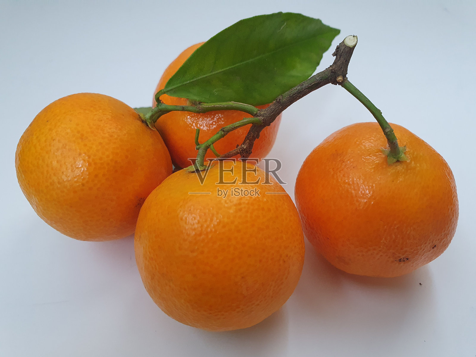 一枝美丽的橙色成熟蜜橘静静地躺在白色表面上照片摄影图片