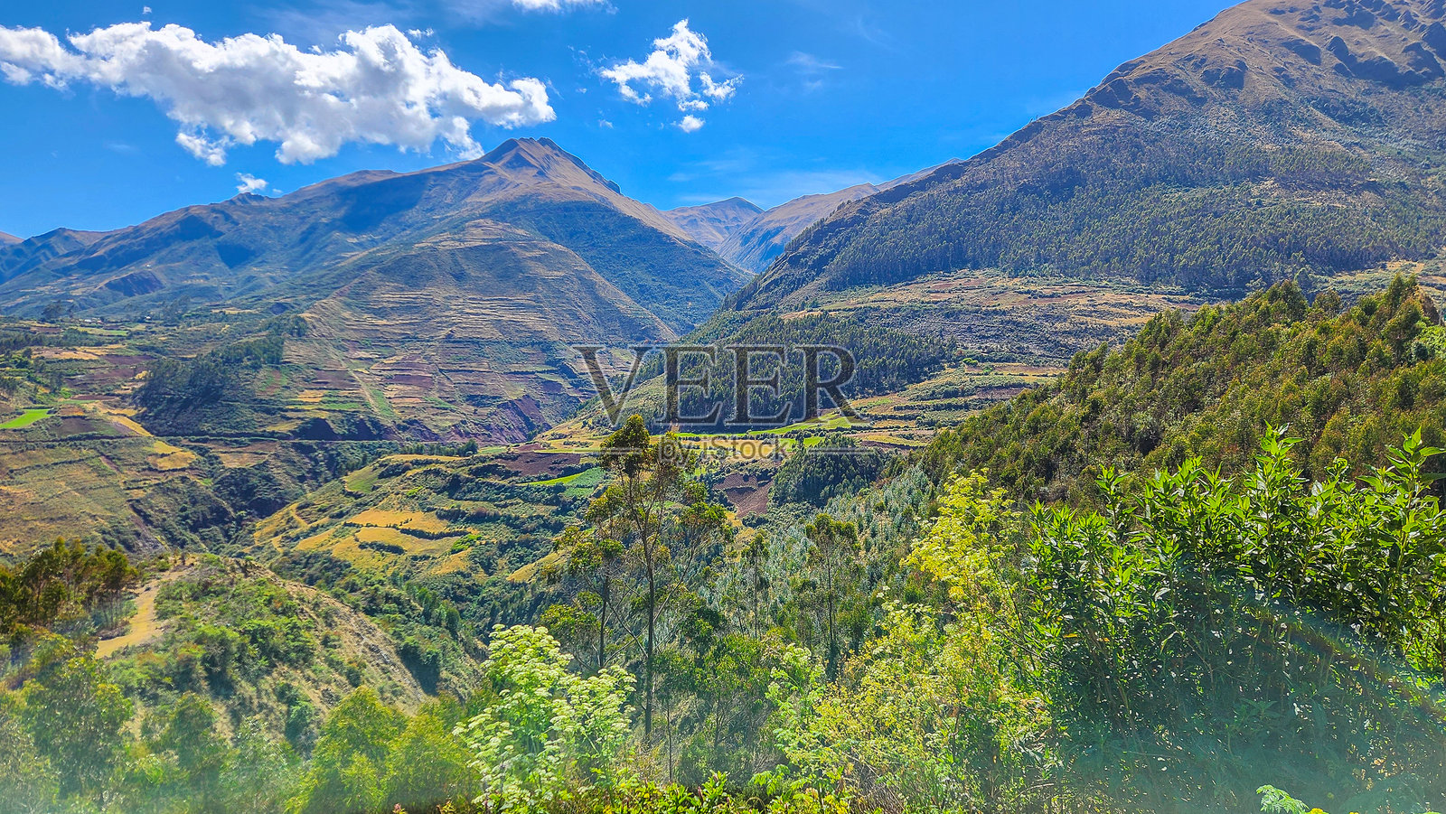 山地风景。阳光明媚的日子里，树木环绕的山脉。安第斯山脉，秘鲁。秘鲁旅行。照片摄影图片