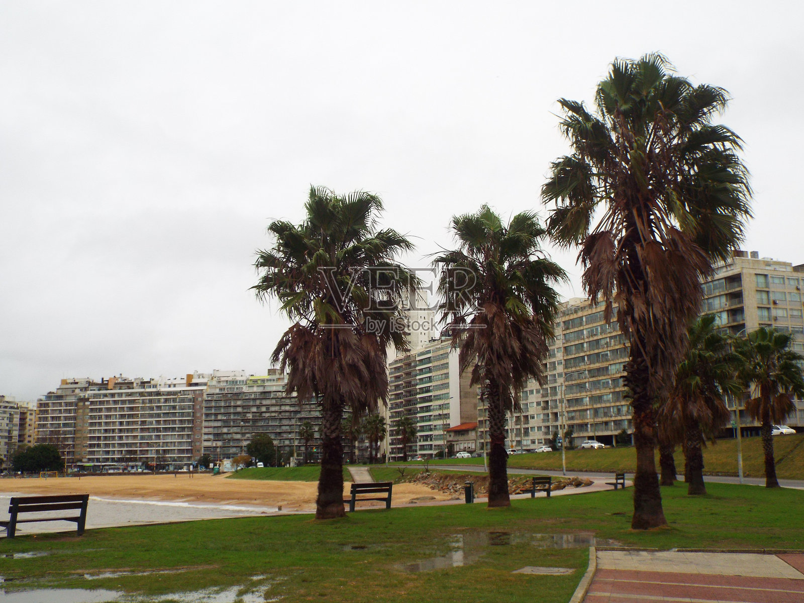 阿根廷和乌拉圭的风景照片摄影图片
