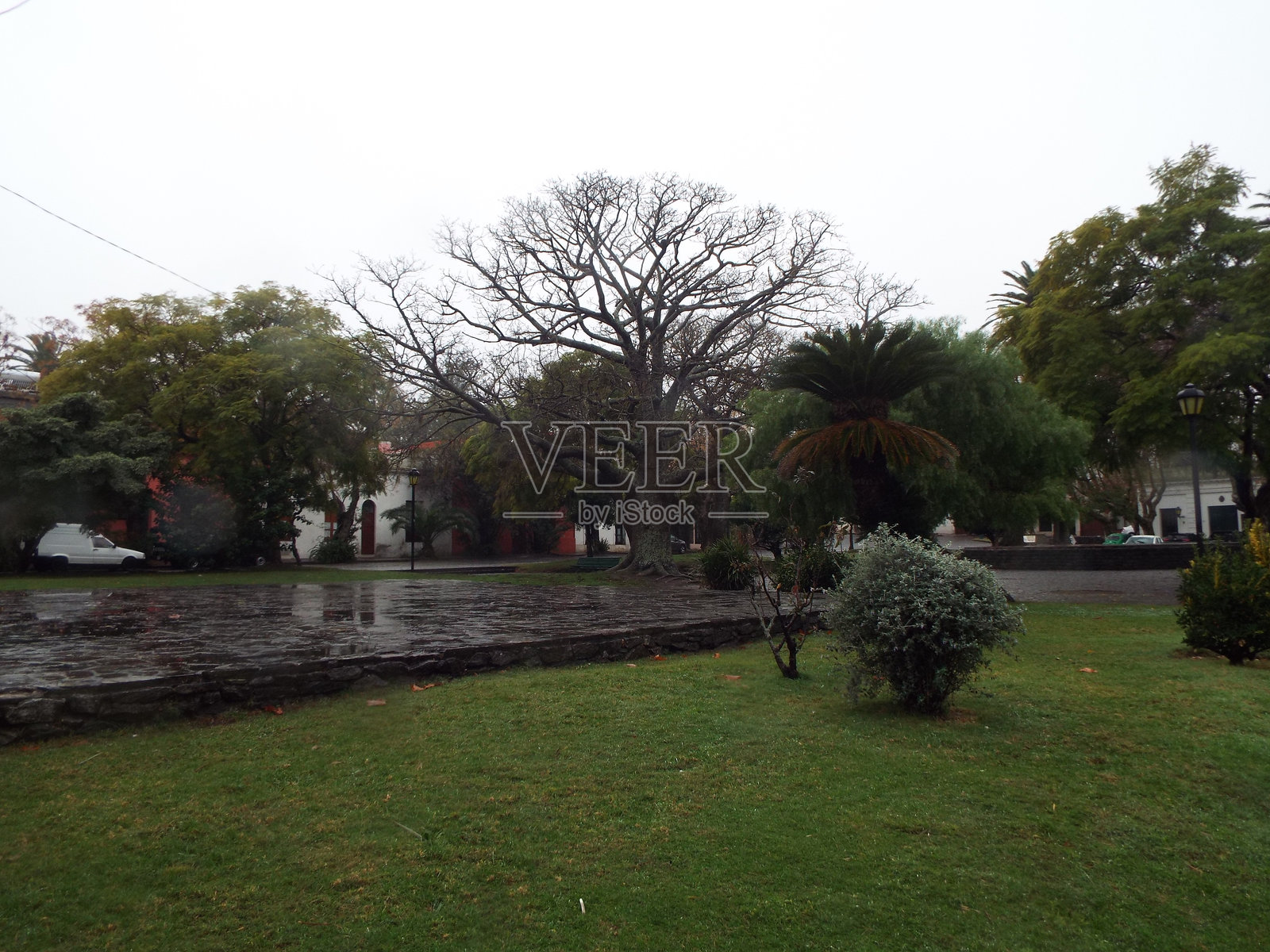 阿根廷和乌拉圭的风景照片摄影图片