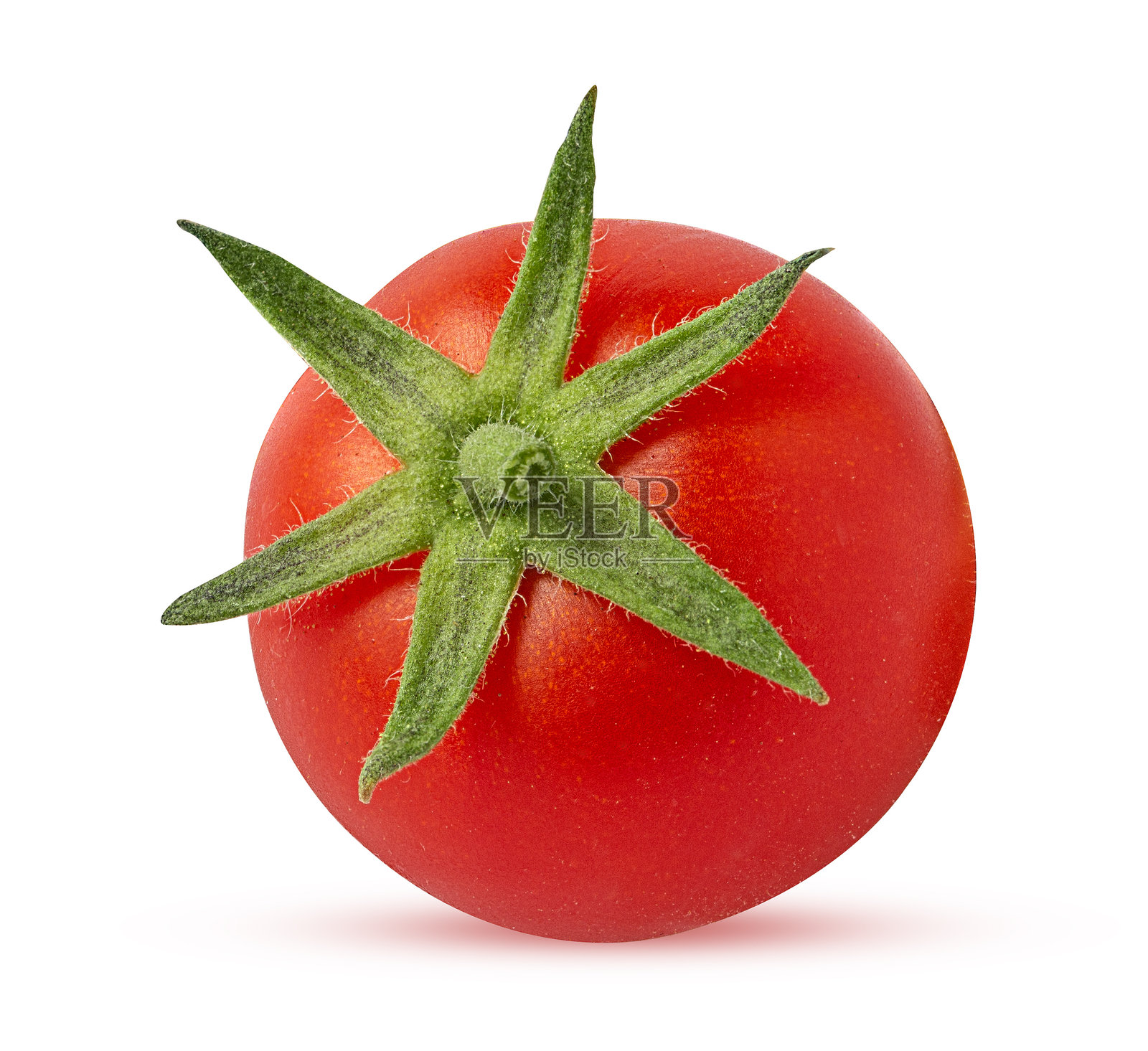 新鲜的红番茄配绿叶照片摄影图片