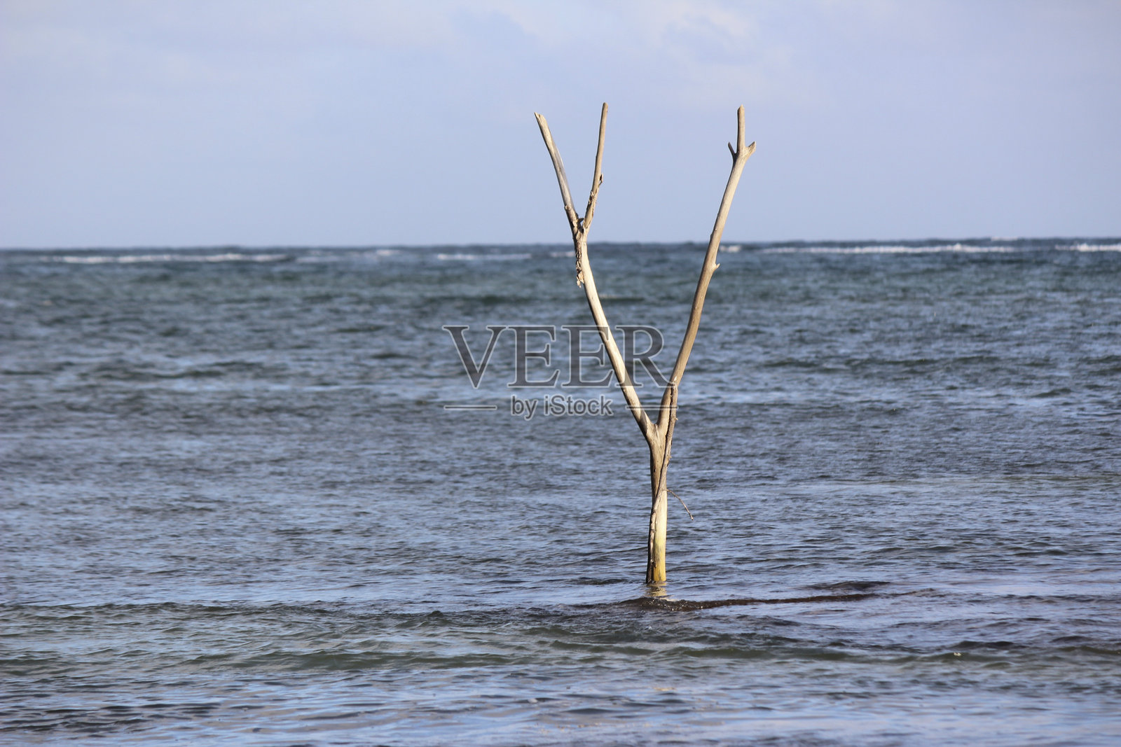 全球变暖与环境变化照片摄影图片