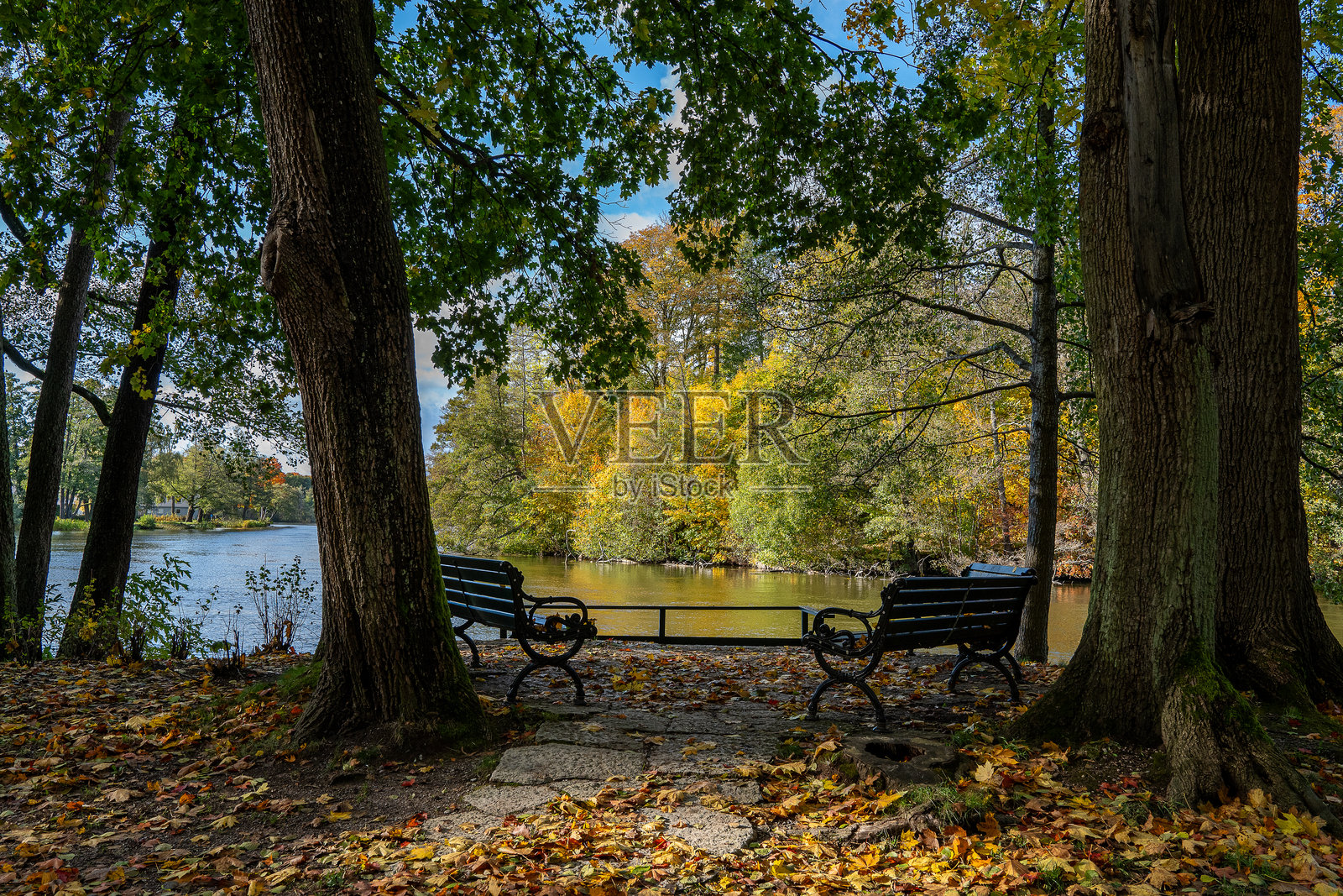瑞典的秋天照片摄影图片