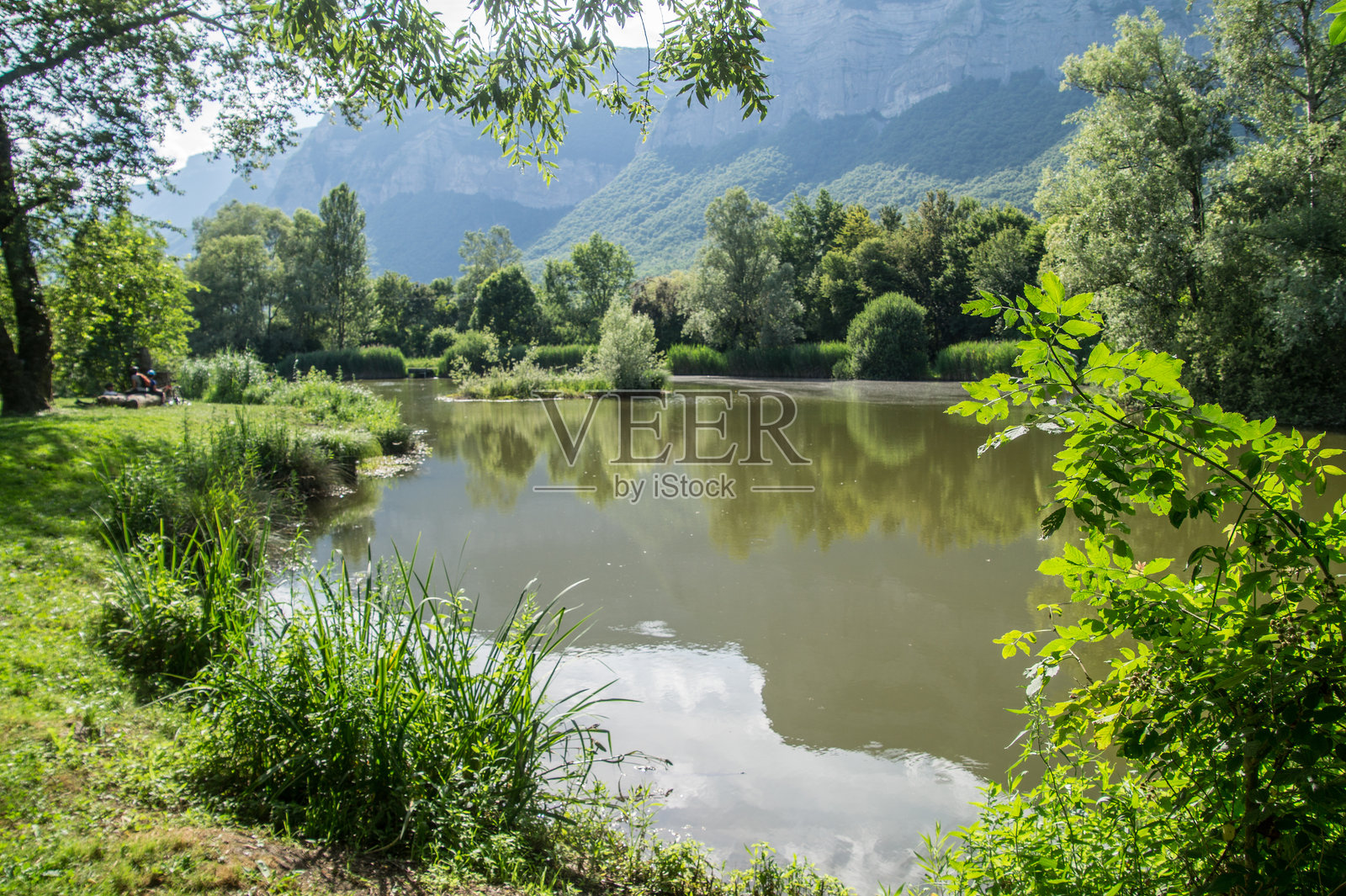 湖泊与树木映衬天空的美丽景色照片摄影图片