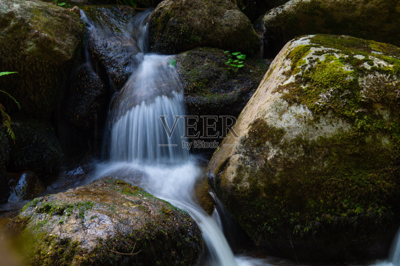 Chorsin，卢瓦尔，法国照片摄影图片