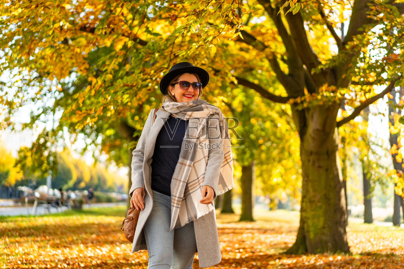 美丽的年轻女性穿着牛仔裤、灰色外套、格子温暖围巾、黑色边帽和太阳镜，在阳光明媚的秋日里沿着城市公园的小巷走，周围是落叶树。正面视角。照片摄影图片