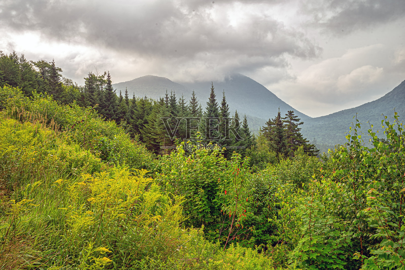 在坎卡马古斯公路沿线照片摄影图片