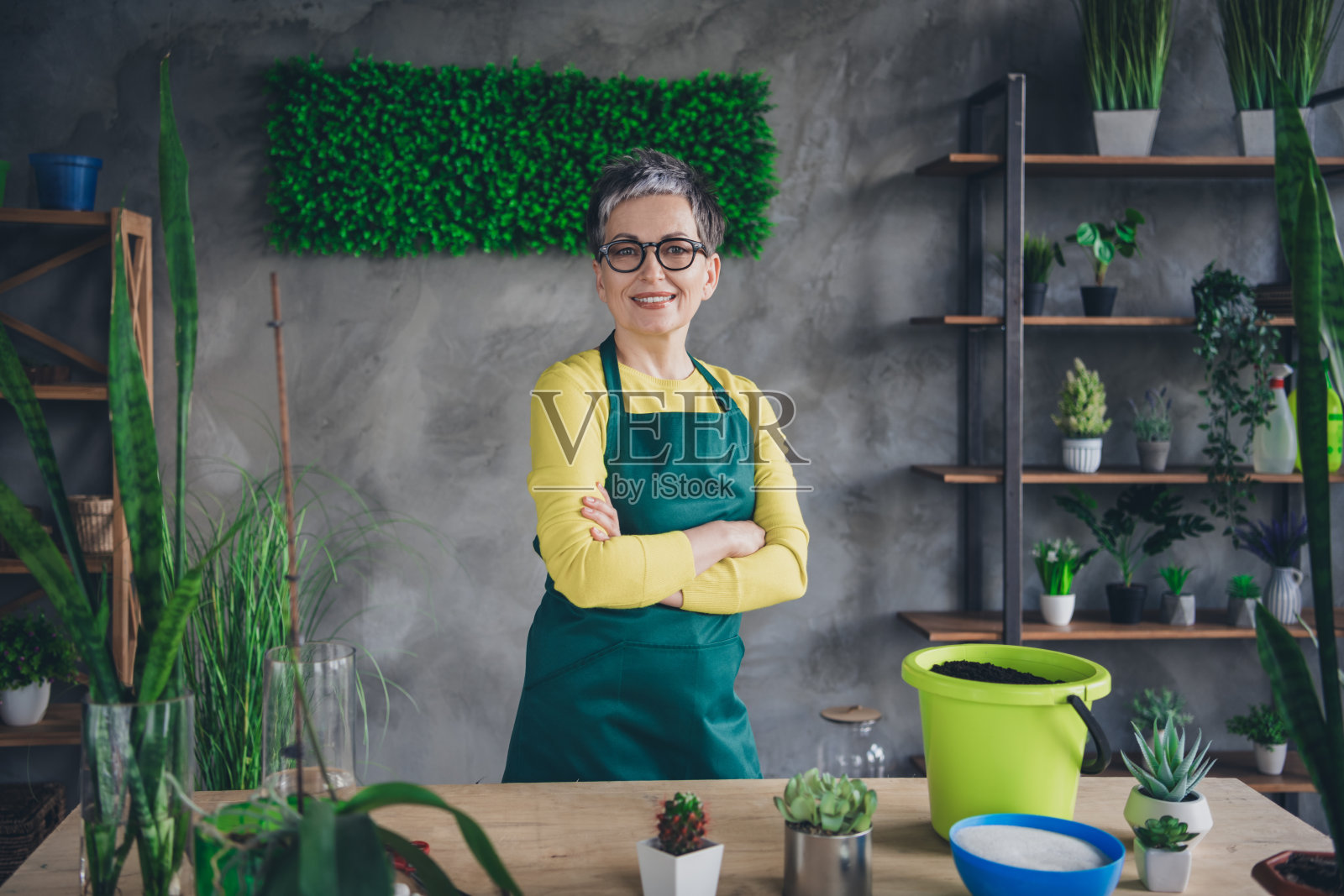 穿着绿色围裙的和蔼老奶奶双手交叉，自信地享受着室内园艺，工作在家中。照片摄影图片