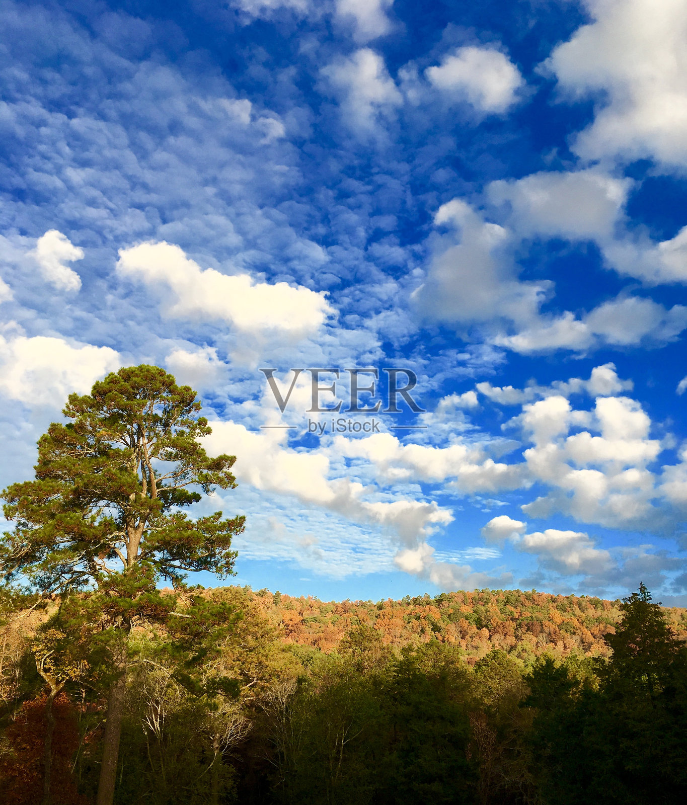 阳光明媚的秋日云雾山脉照片摄影图片
