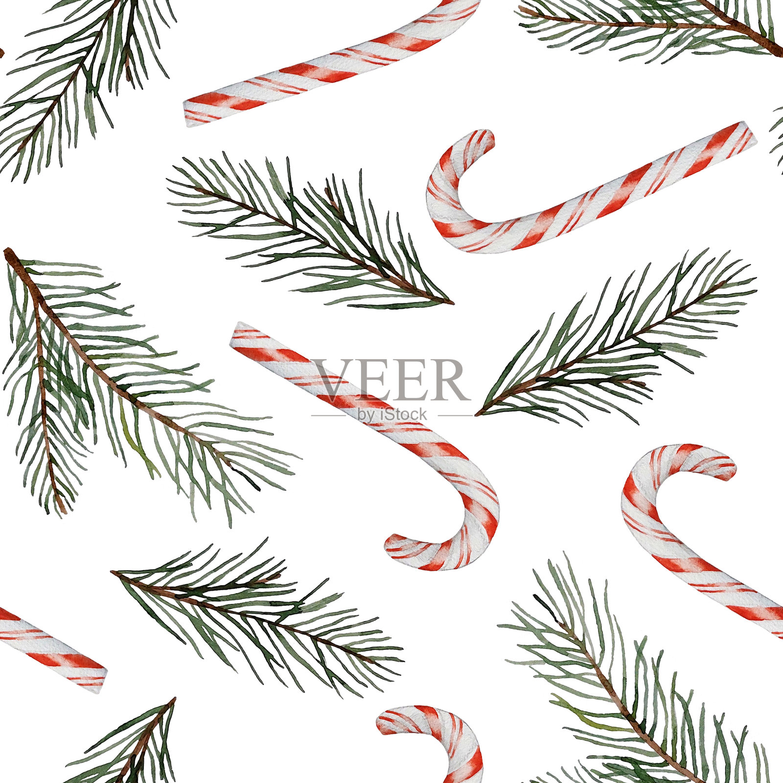 糖果手杖和松枝的水彩无缝图案。白色背景插画图片素材