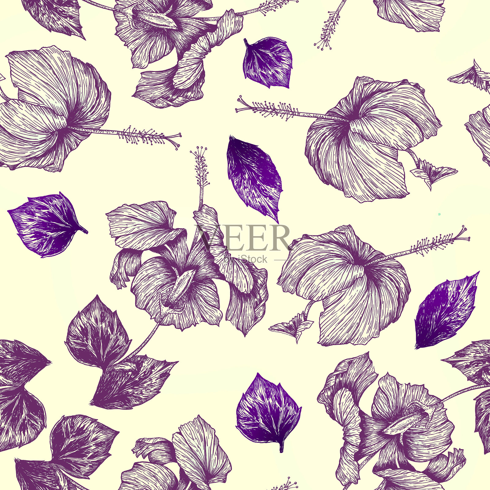 无缝图案的芙蓉花和叶子的插图插画图片素材