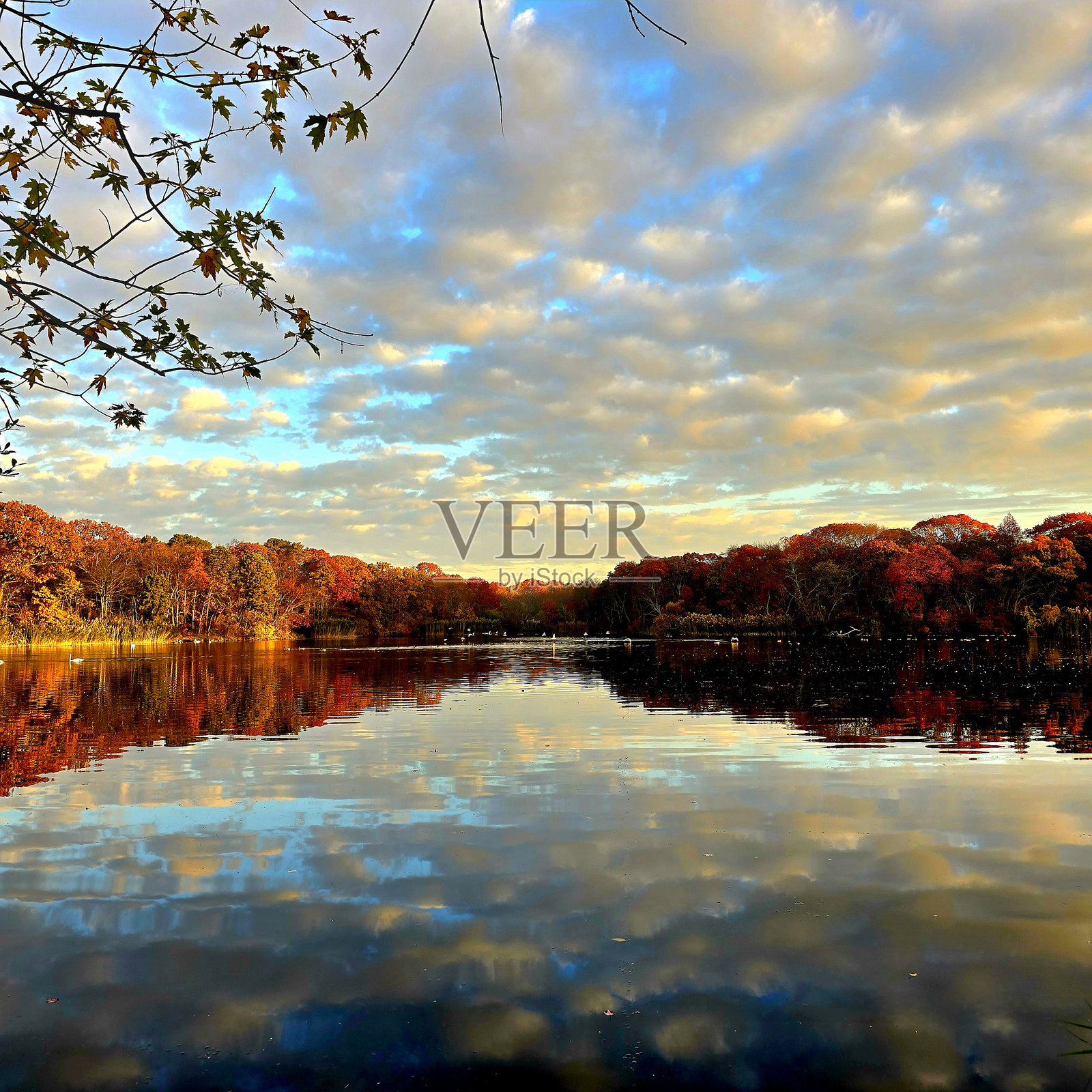 湖面上空的戏剧性秋天天空照片摄影图片