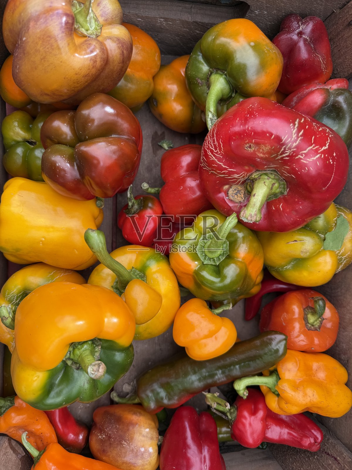 色彩鲜艳的辣椒照片摄影图片