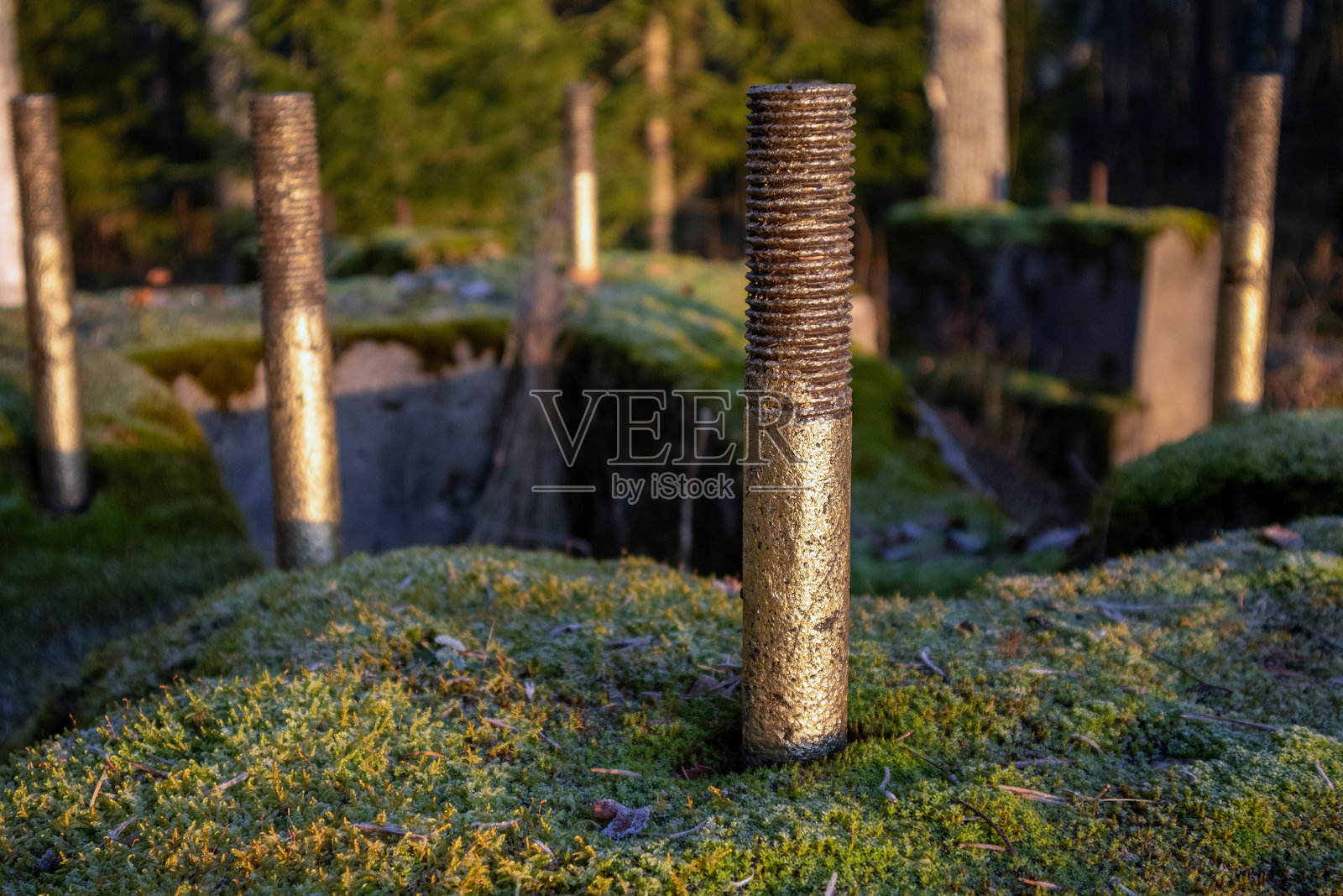 森林中被苔藓覆盖的旧工业基础设施照片摄影图片
