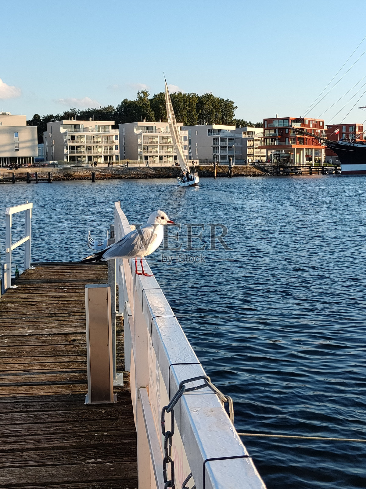 德国海洋照片摄影图片