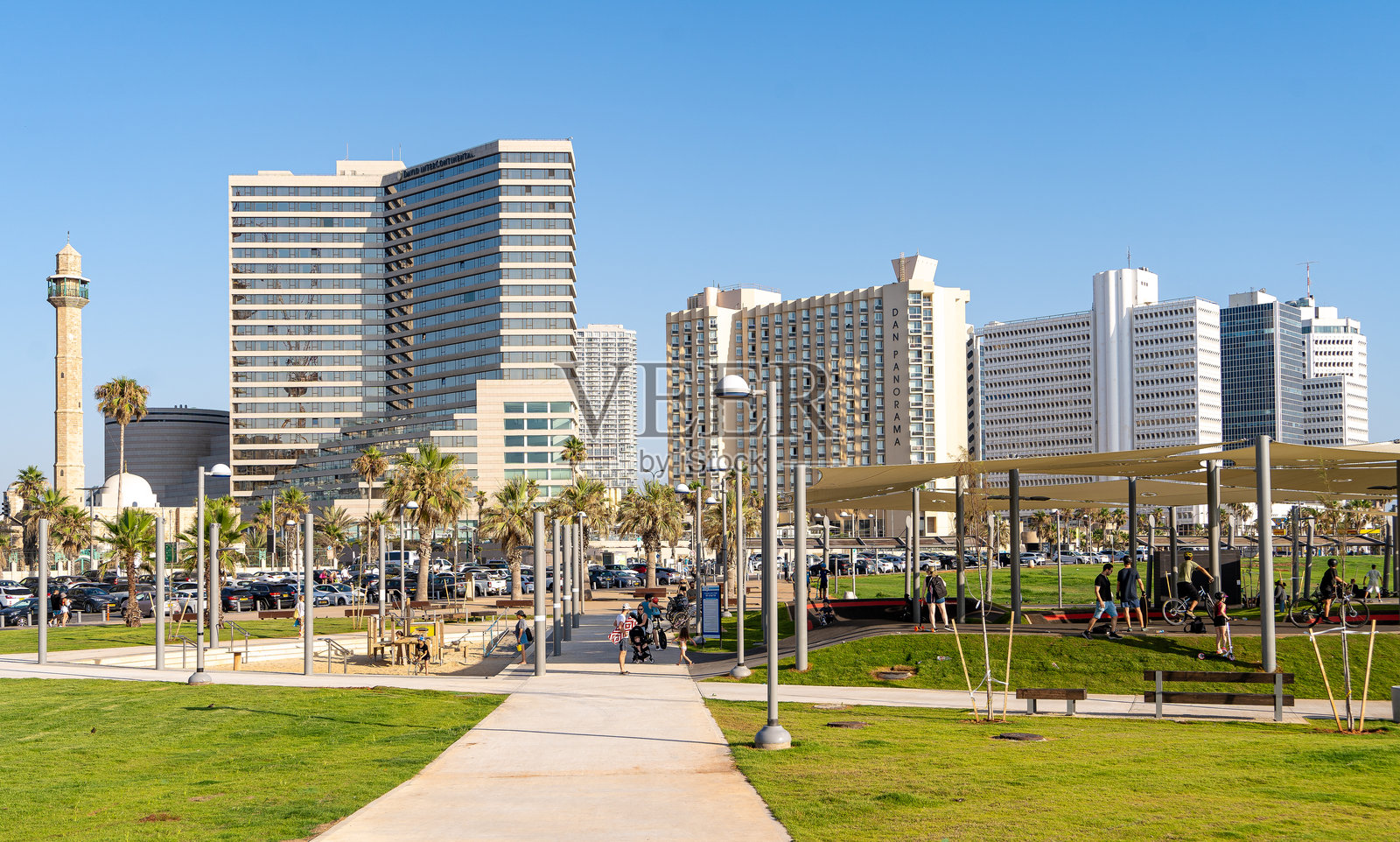 特拉维夫办公大楼和酒店背景下的公园照片摄影图片