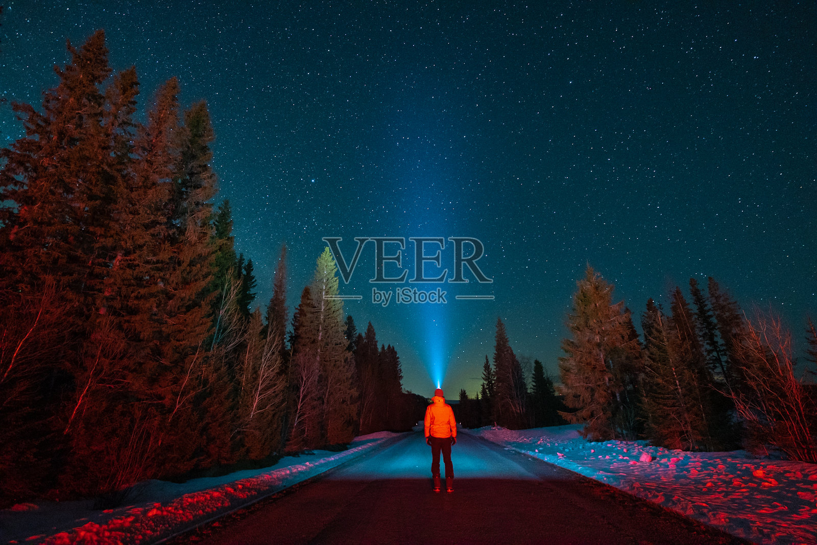 夜晚树木间站着的男人背影照片摄影图片