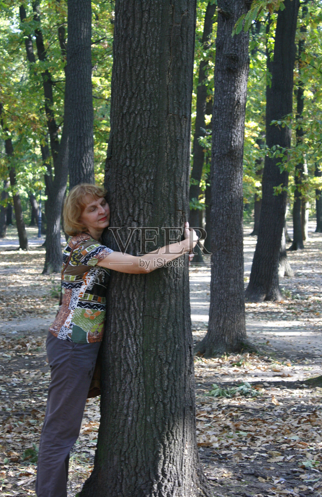 老年女性侧身拥抱森林中的树干照片摄影图片