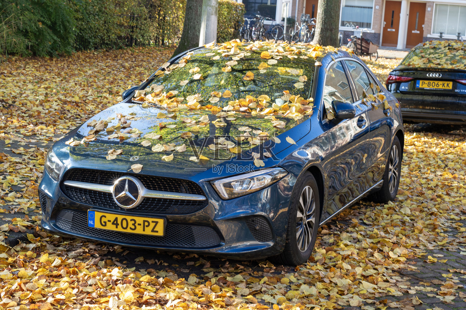 梅赛德斯-奔驰轿车在秋天的落叶下照片摄影图片