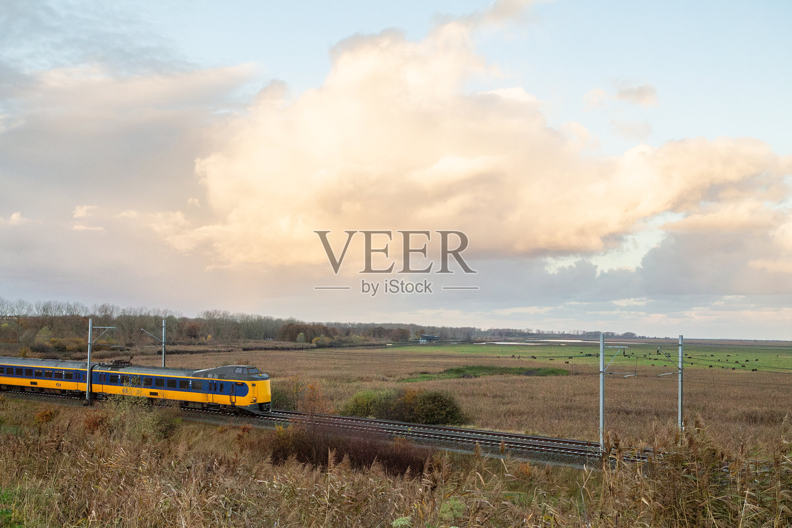乘火车穿越奥斯特瓦德斯普拉森的荒野照片摄影图片