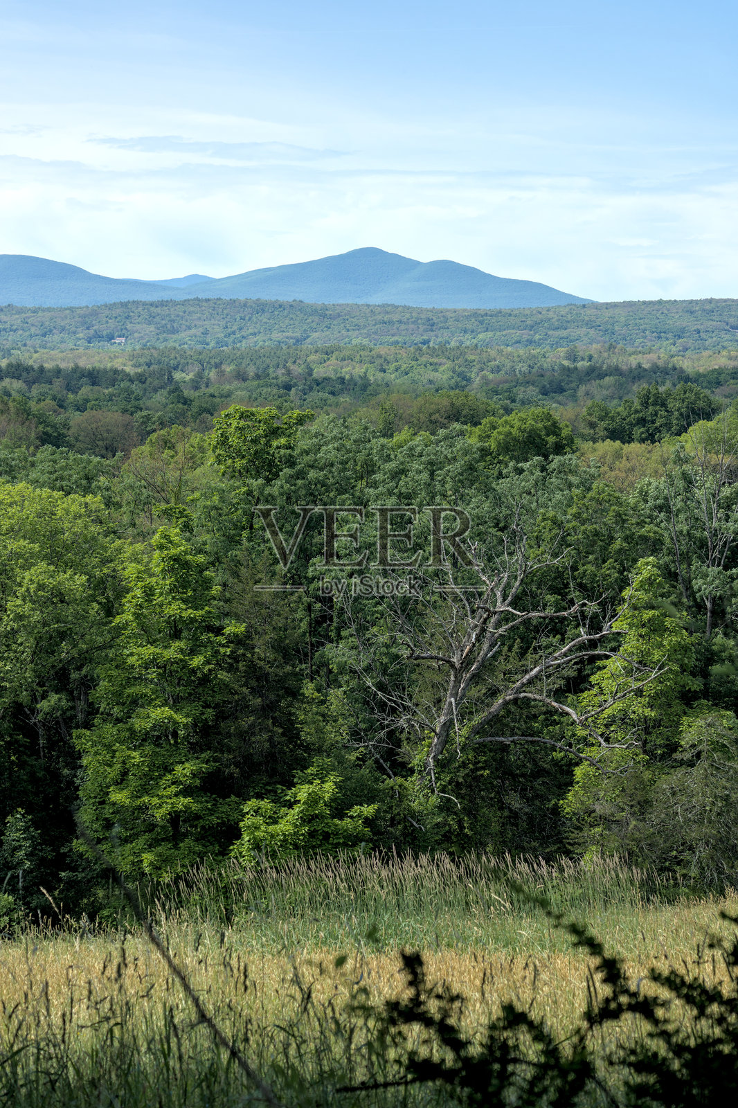 美丽的滑雪山景观，位于纽约州上州的卡茨基尔山脉（哈德逊河谷的山景，树叶自然框架）蓝色山丘，夏季郁郁葱葱的自然，徒步旅行，露营照片摄影图片