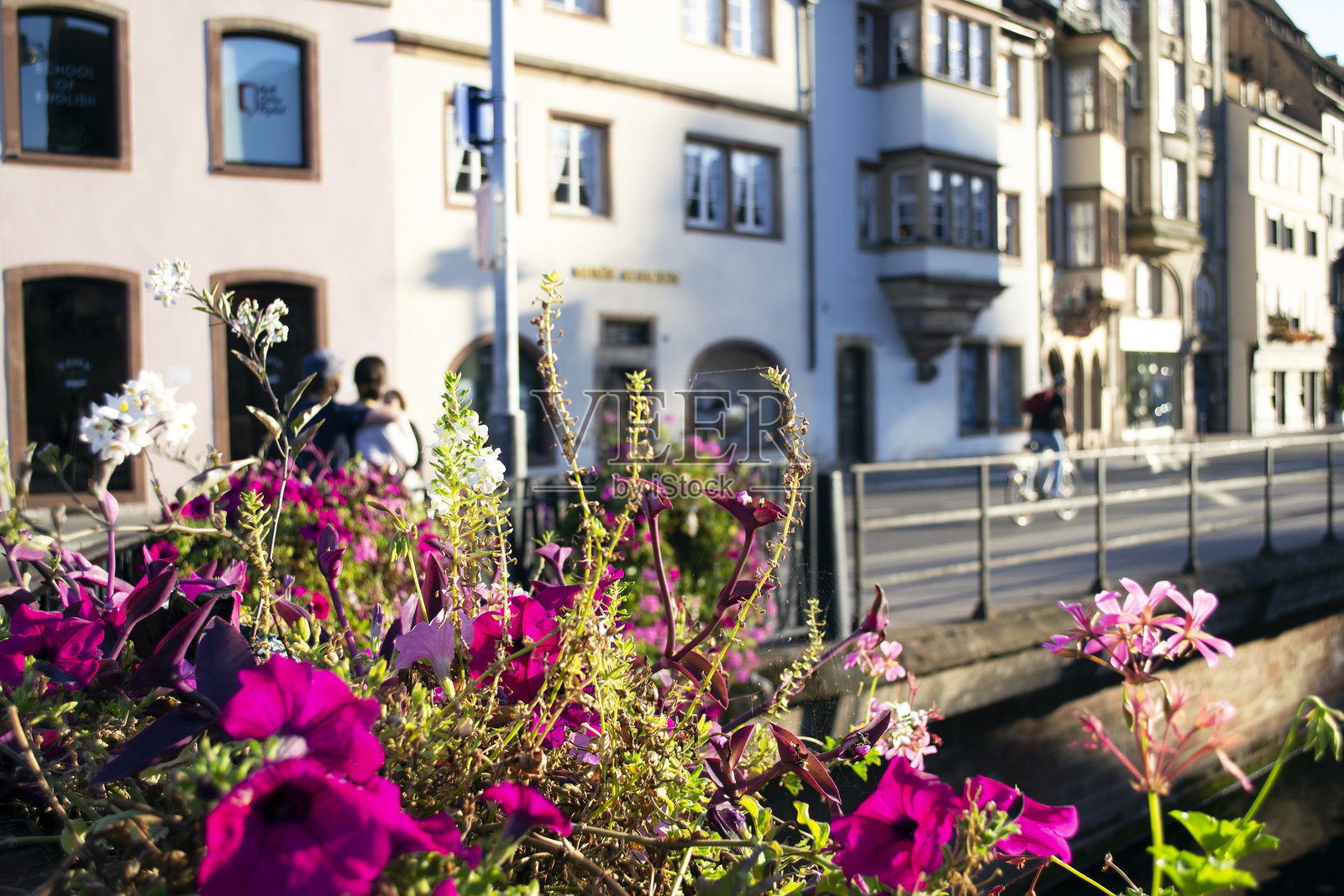 斯特拉斯堡老城柔焦背景与花朵照片摄影图片