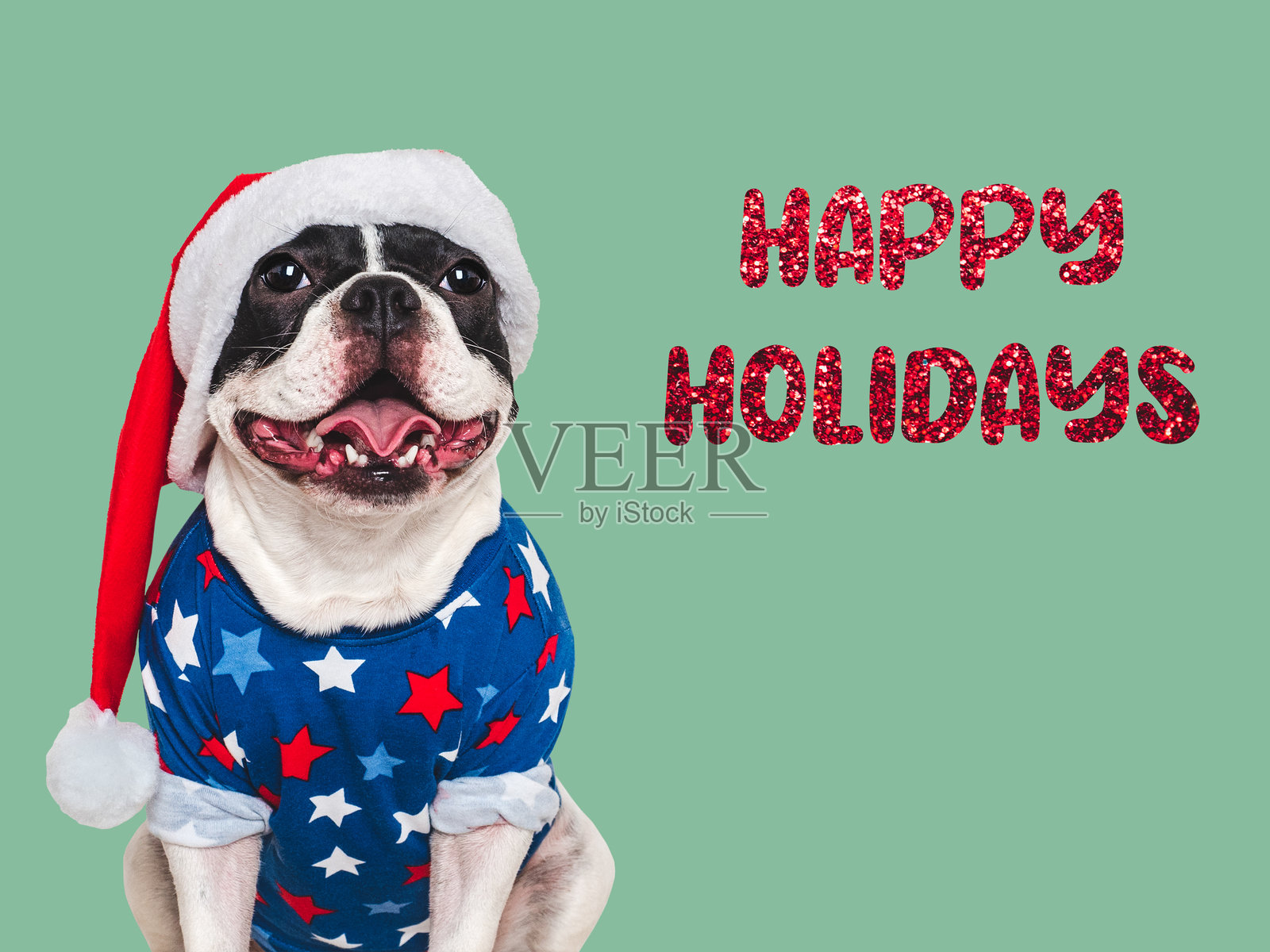 圣诞快乐。可爱的狗狗和祝贺的文字照片摄影图片