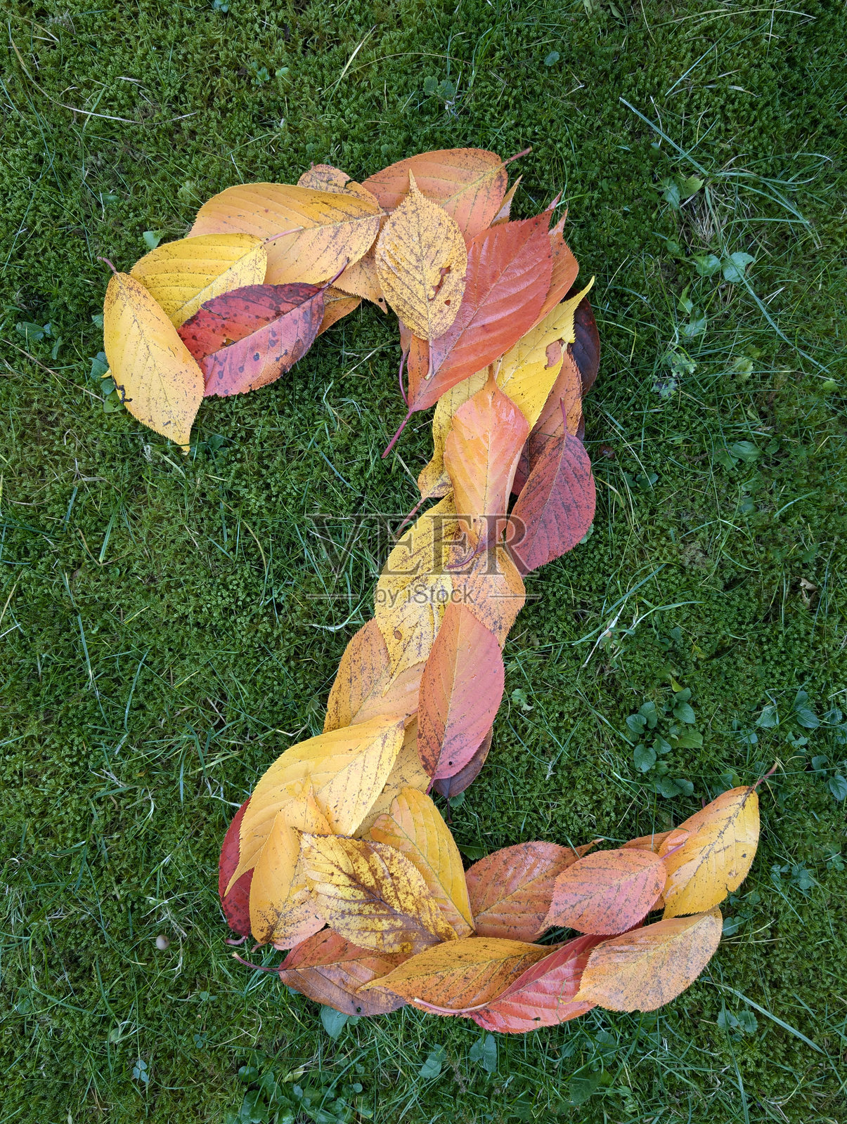 用五彩斑斓的秋叶在绿色背景上形成的数字二（2）照片摄影图片