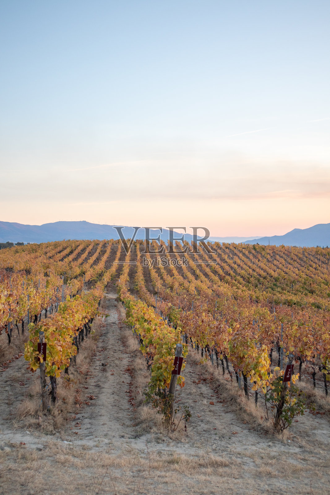 保加利亚梅尔尼克葡萄酒产区的风景照片摄影图片