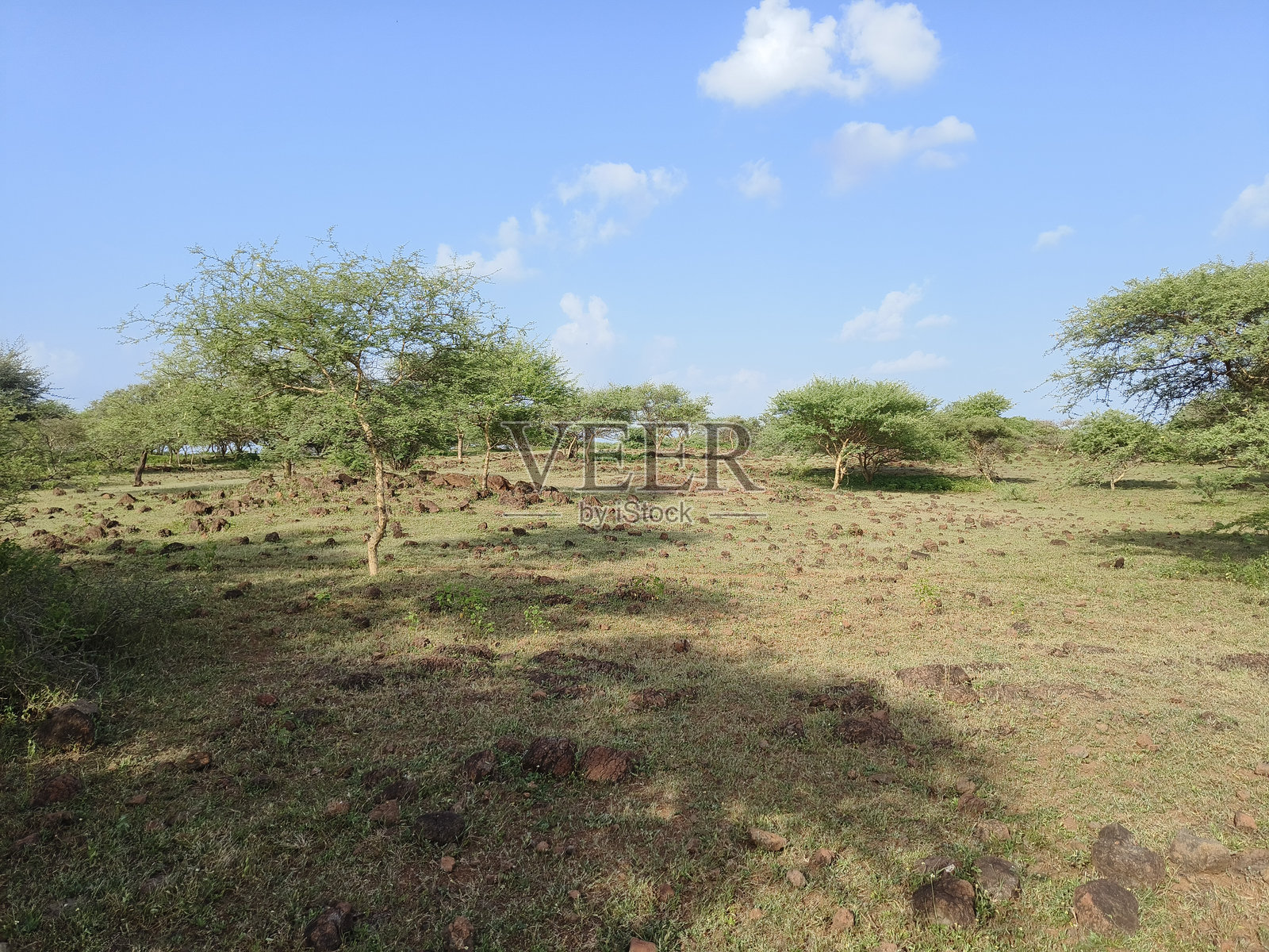 季风季节结束的风景照片摄影图片
