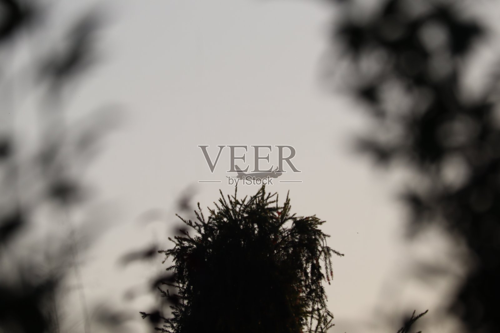 飞机剪影照片摄影图片