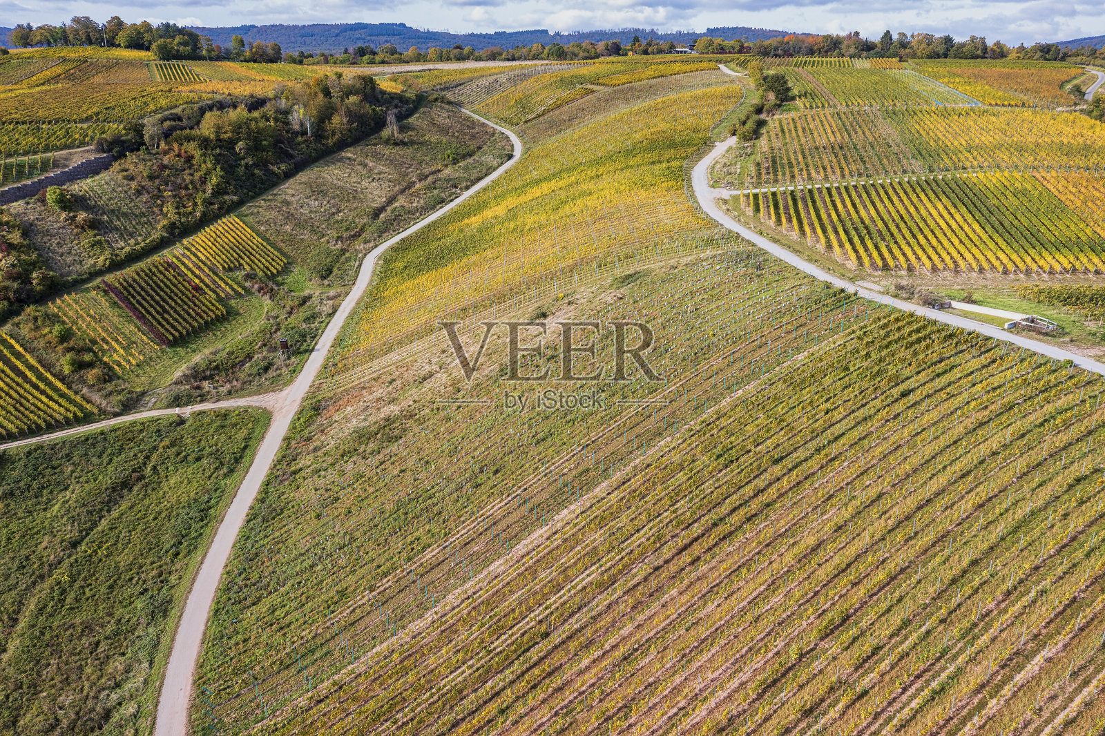 莱茵高的秋天照片摄影图片