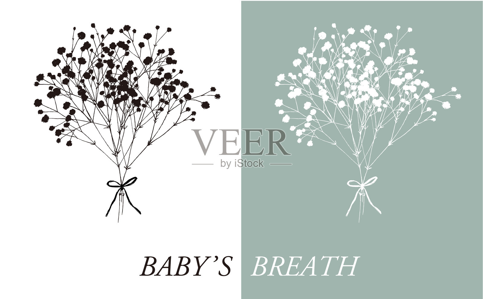 满天星花束的剪影插图插画图片素材