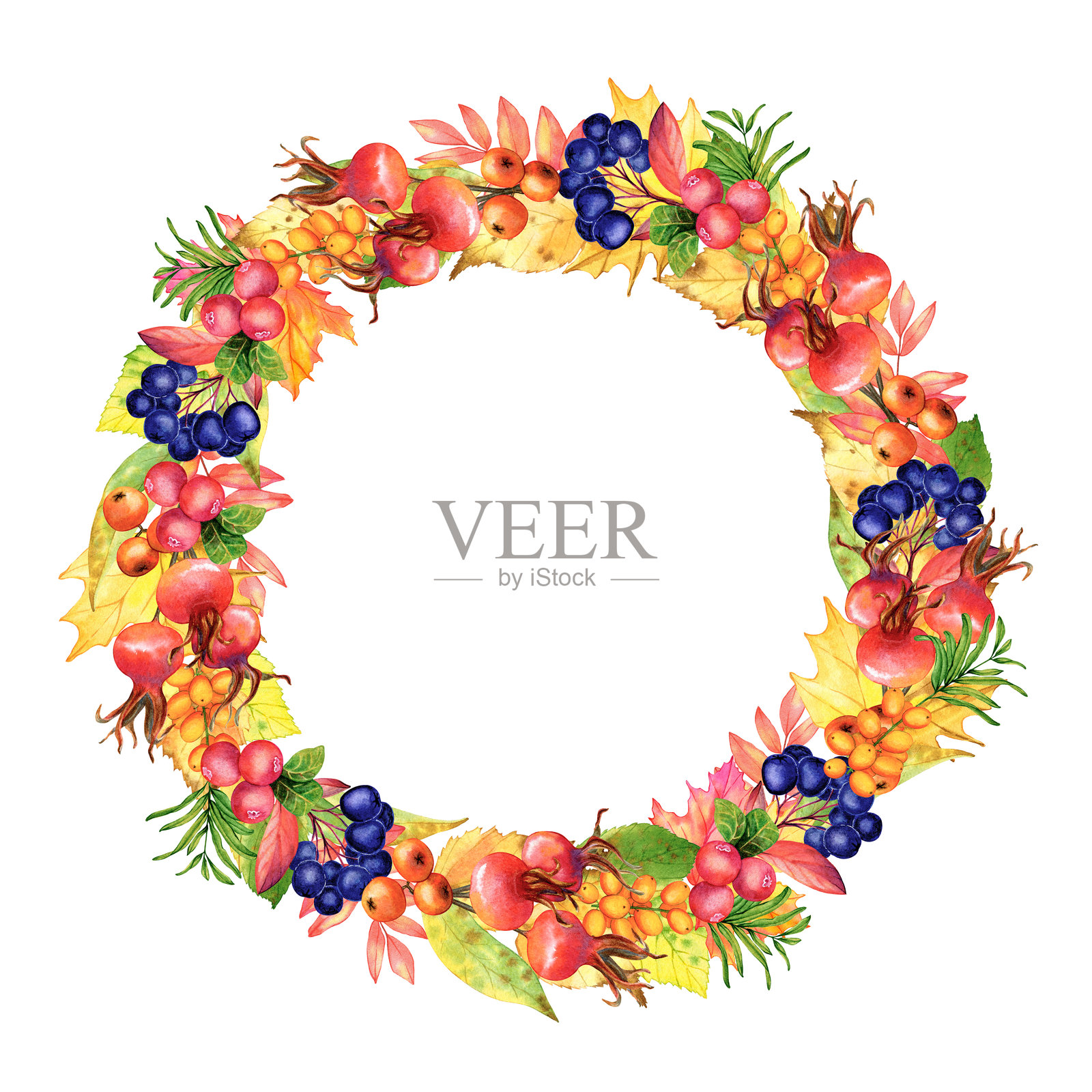 秋季水彩插图：优雅的框架，圆形花环花卉组合。插画图片素材