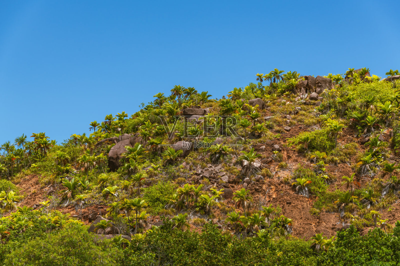 靠近拉齐奥海滩的山丘照片摄影图片