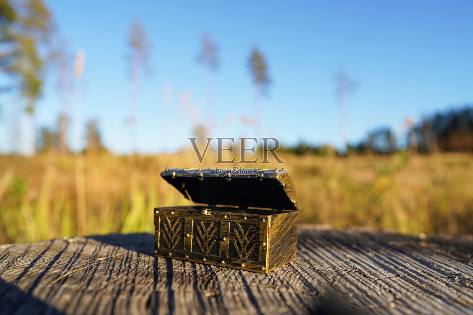 树桩上的宝箱，背景是森林自然风光。宝箱在蓝天背景下。照片摄影图片