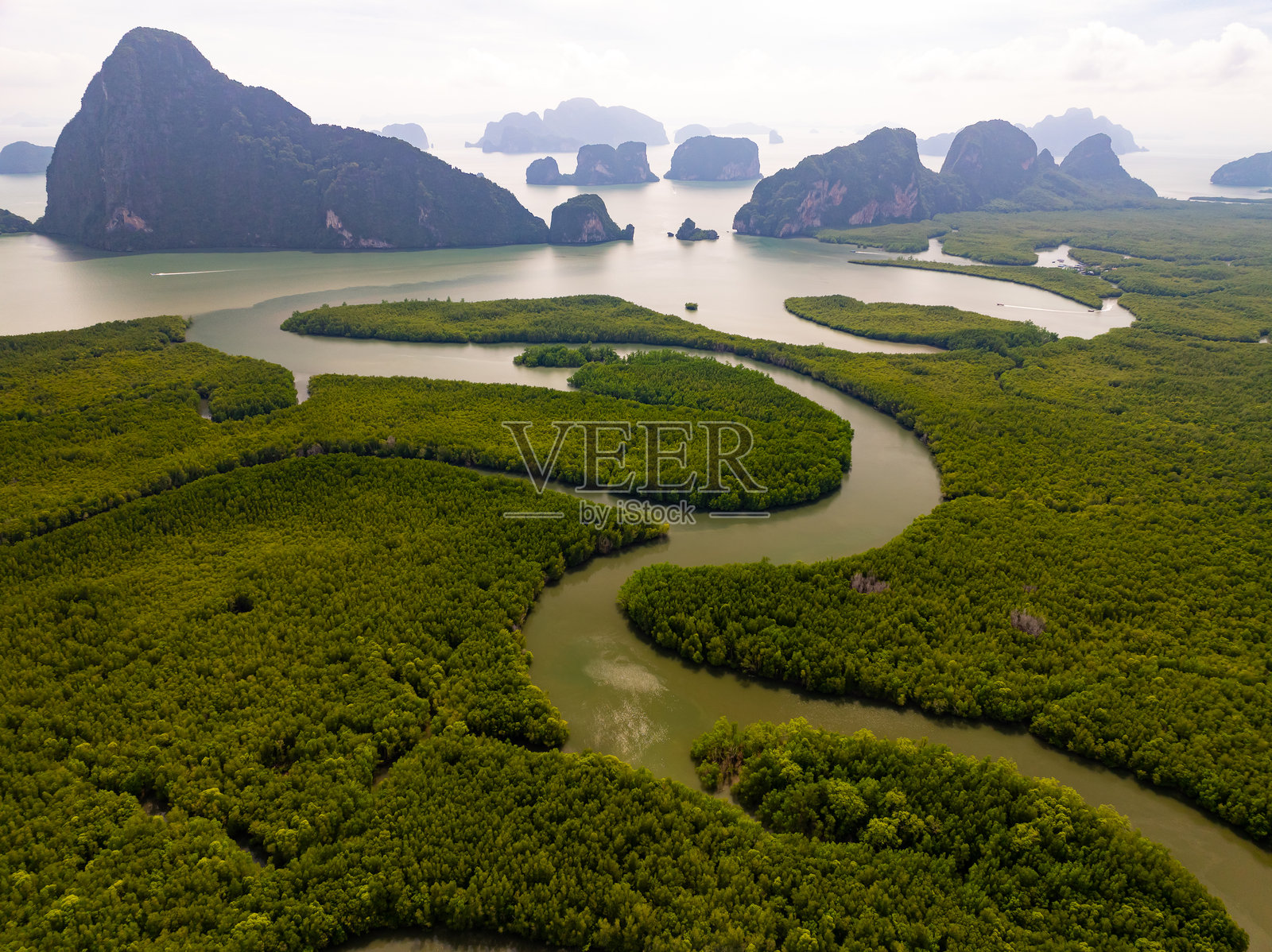 惊人的丰盛红树林，森林树木的鸟瞰图，雨林生态系统和健康的环境背景，绿色树木的顶部纹理，高角度视图照片摄影图片