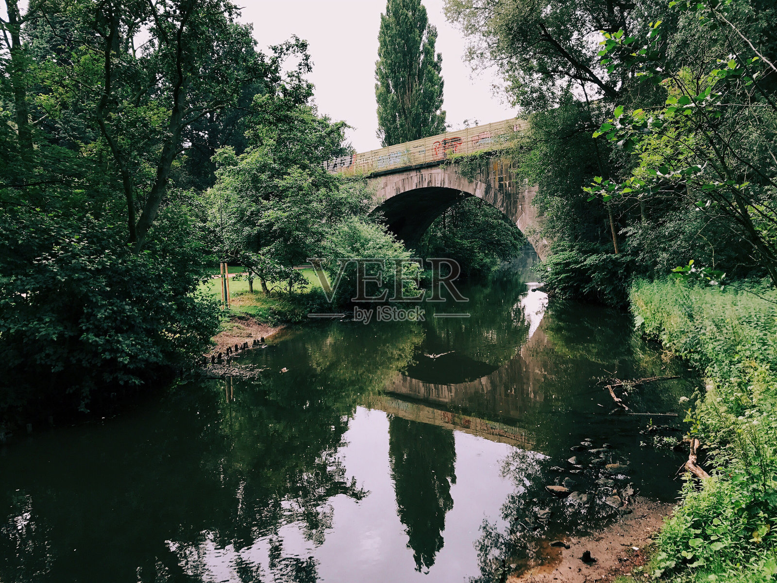 树木间的拱桥横跨运河照片摄影图片