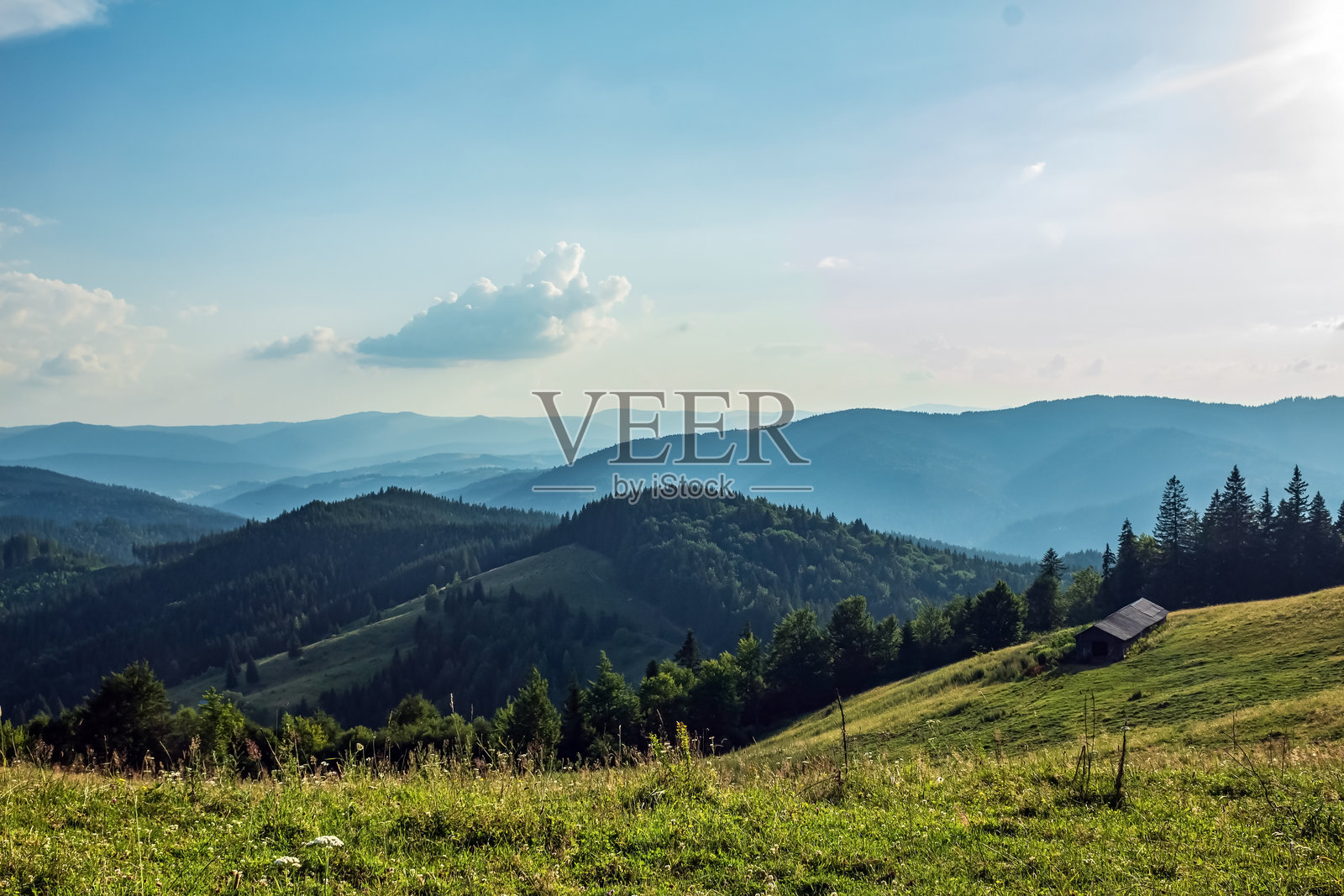 风景 - 森林 - 欧洲，罗马尼亚，苏恰瓦地区照片摄影图片