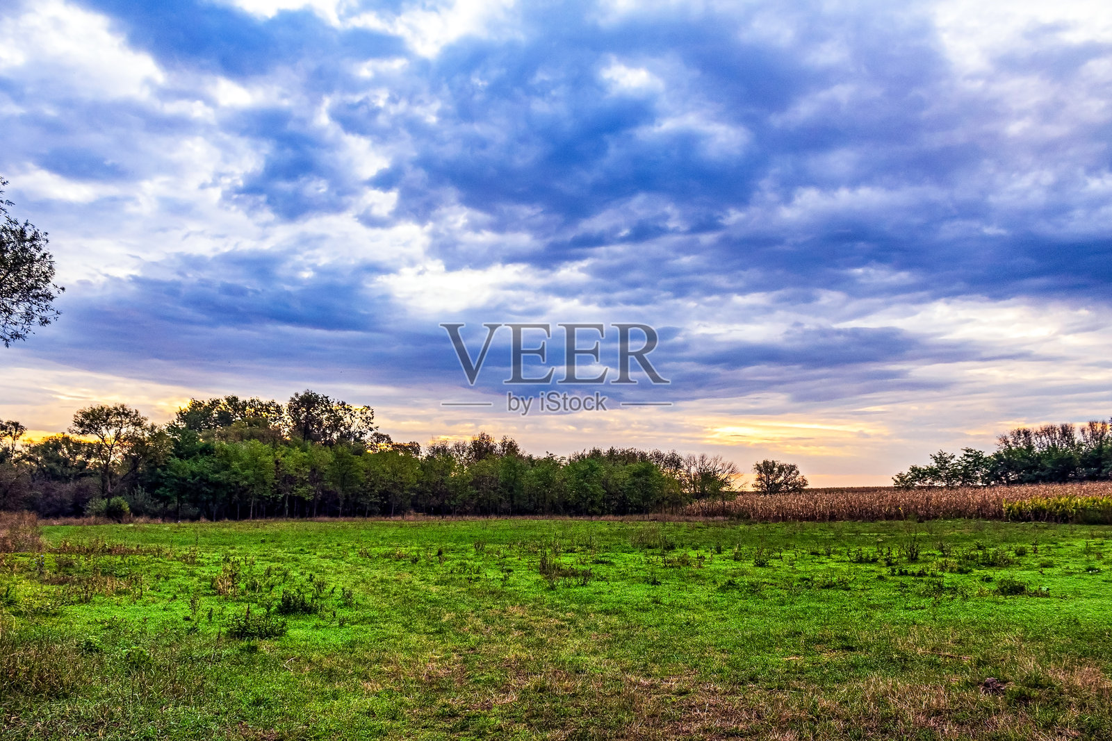 风景 - 森林 - 欧洲，罗马尼亚，苏恰瓦地区照片摄影图片