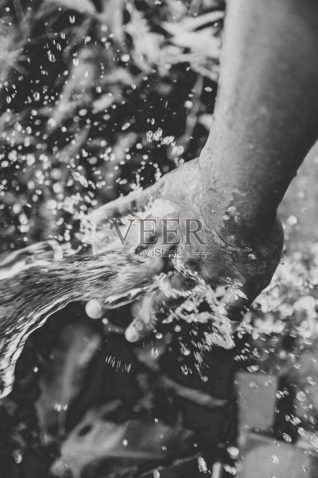 洗手特写照片摄影图片