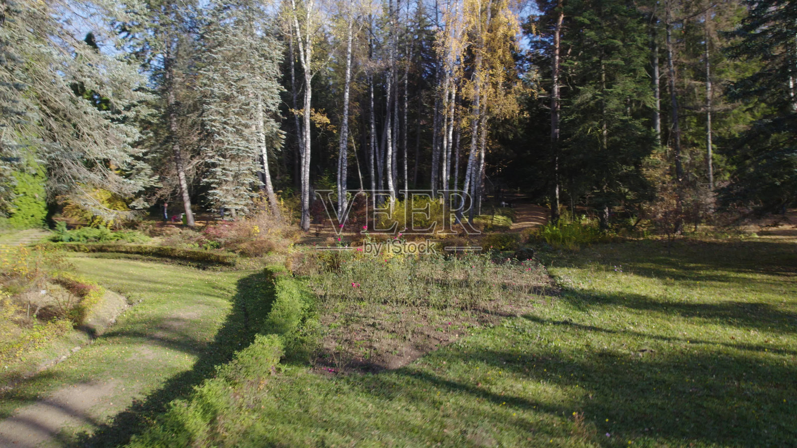 美丽的山地密林。高加索山脉的郁郁葱葱的密林。高加索山脉的翠绿森林景观。高加索山坡上的美丽密林。高加索山脉的绿色森林。茂密的森林。航拍摄影。照片摄影图片