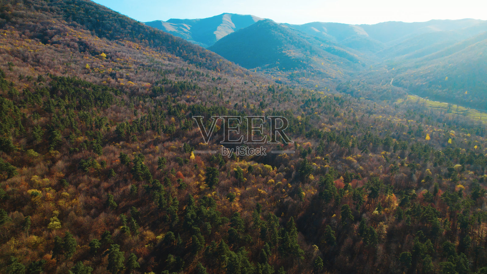 美丽的山地密林。高加索山脉的郁郁葱葱的密林。高加索山脉的翠绿森林景观。高加索山坡上的美丽密林。高加索山脉的绿色森林。茂密的森林。航拍摄影。照片摄影图片