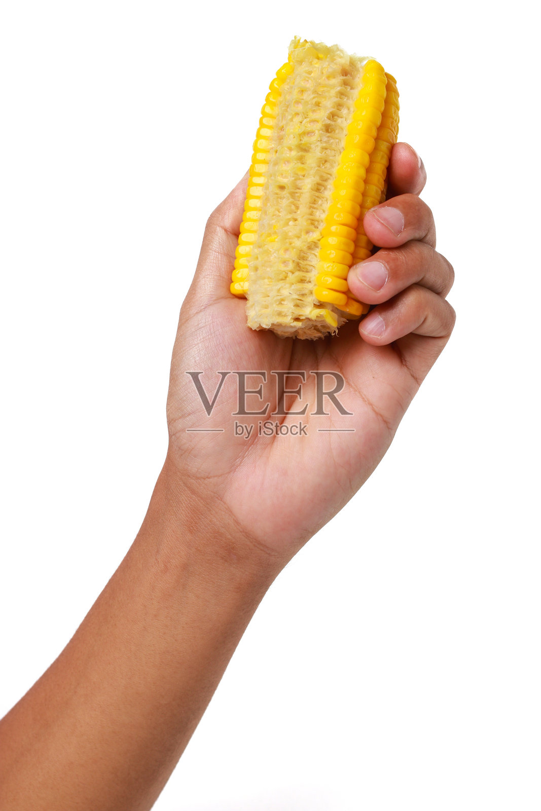 手握新鲜甜玉米棒，背景为白色照片摄影图片