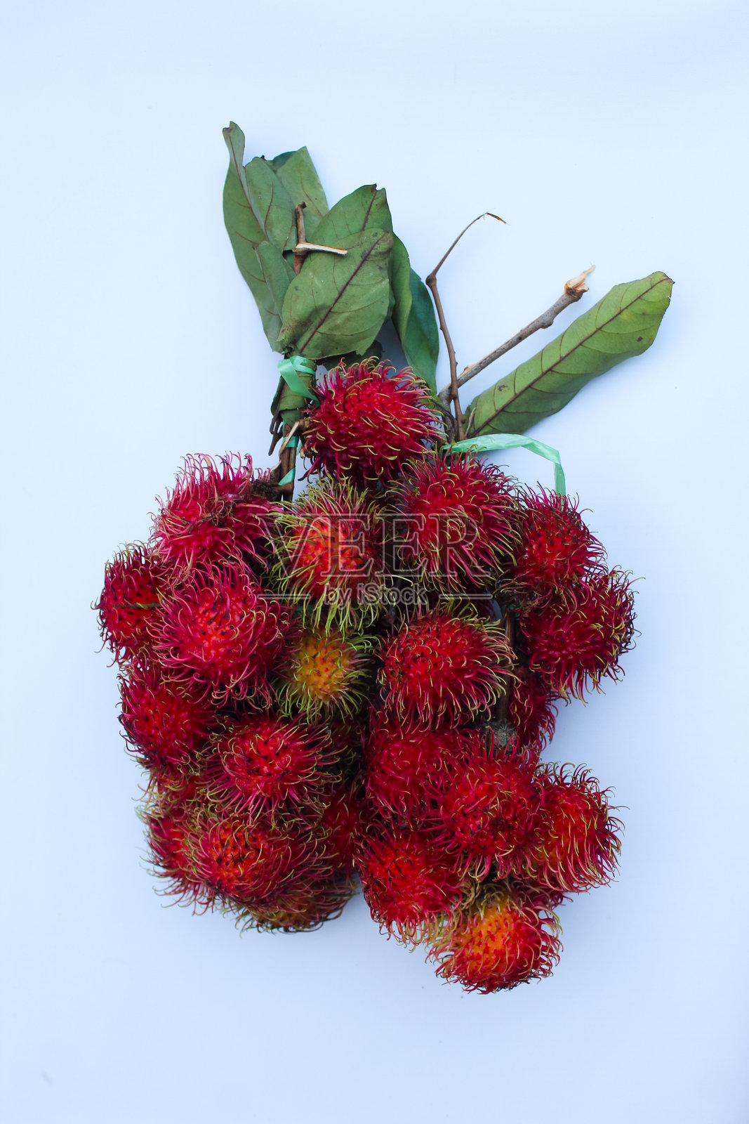 小檗，实际上是一种可以牢牢附着在种子外壳上的种子涂层照片摄影图片