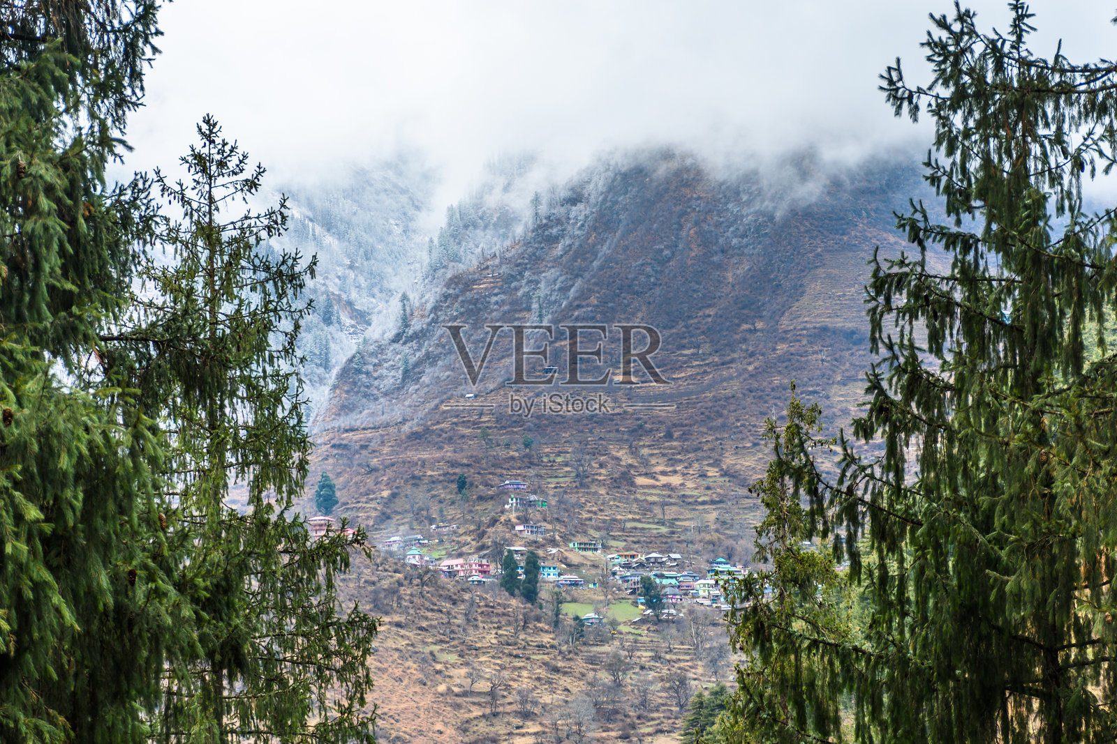 帕尔瓦提山谷，喜马偕尔邦的冬季风景，冰冻的树木和雪花纷飞。照片摄影图片